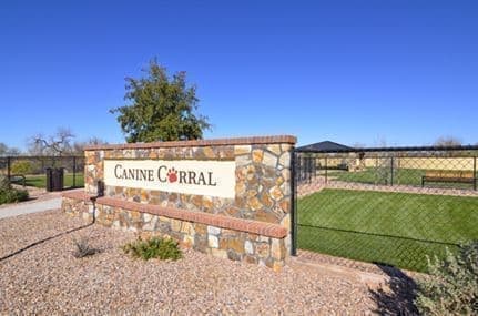 Saddlebrooke Ranch New Homes For Sale Community Dog Park