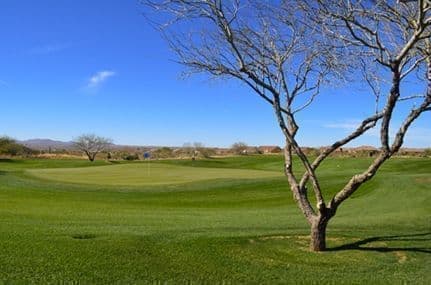 Saddlebrooke Ranch AZ Homes For Sale Golf Course